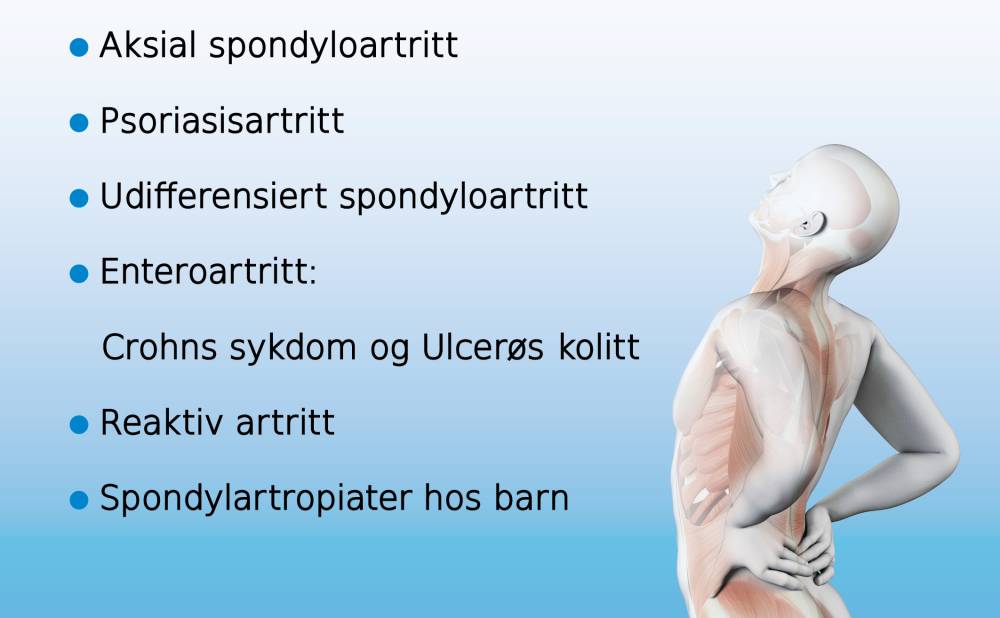 diagnosebilde web