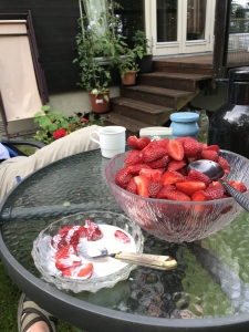 Skål med jordbær hjemme i hagen