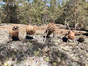 Diverse kongledyr på en stein i skogen