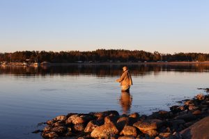 Mann står i vannet og fluefisker i solnedgangen