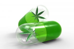 Illustrasjon av kapsler med cannabisblader inni