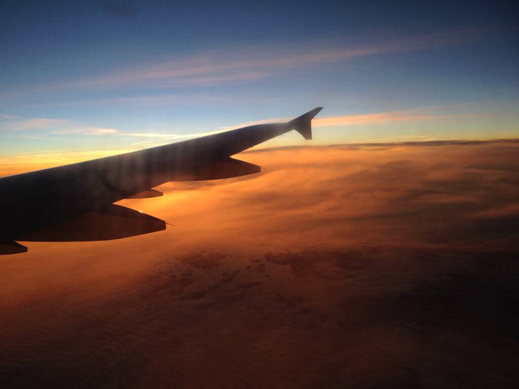 Flyvinge i solnedgang